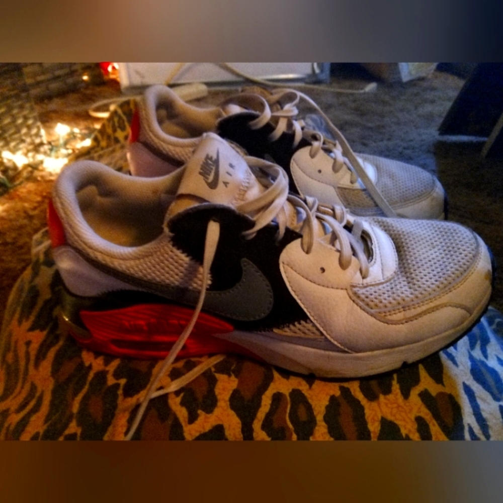 Nike Air Max Women's Sneakers
